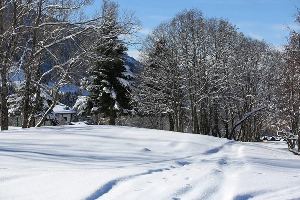 Kış Manzaraları Fransız Alps — Stok fotoğraf