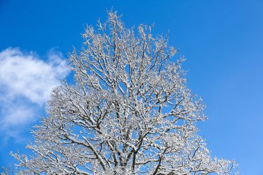 Kış manzaraları Fransız Alps 