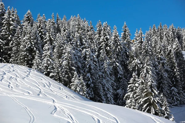 Vinterlandskap Franska Alperna — Stockfoto