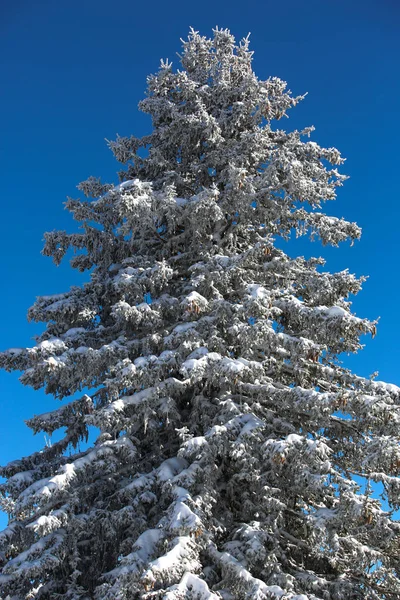 Winter Landscapes French Alps Stock Photo