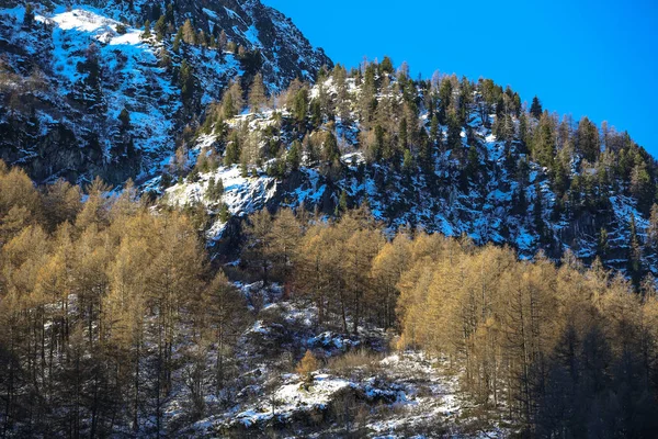 Зимние Пейзажи Французских Альп — стоковое фото