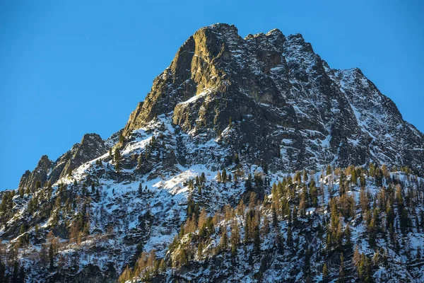 Paysages Hivernaux Des Alpes Françaises — Photo