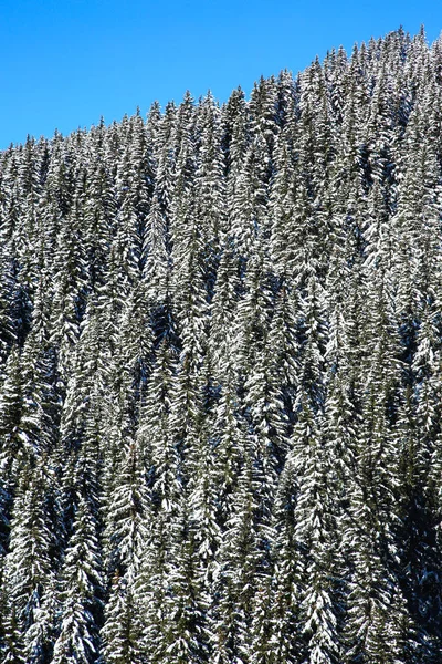 Kış Manzaraları Fransız Alps — Stok fotoğraf