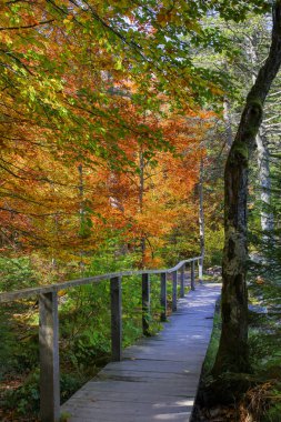 Fransız Alpleri'nde yaz