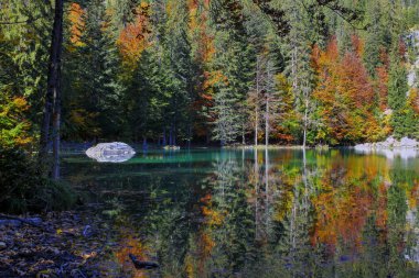 Fransız Alpleri'nde yaz