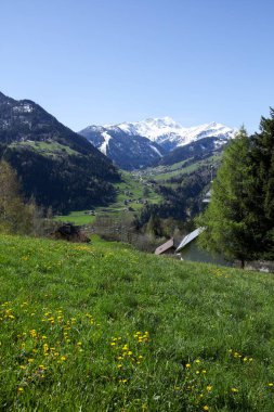 Fransız Alpleri'nde yaz