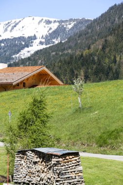 Fransız Alpleri'nde yaz