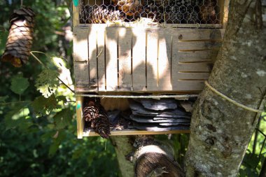 Fransız Alpleri'nde yaz