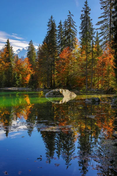 Lato Alpach Francuskich — Zdjęcie stockowe