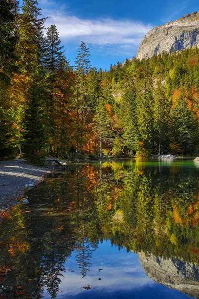 Sommer Den Französischen Alpen — Stockfoto