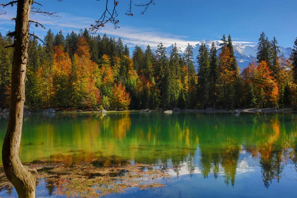 Sommer Den Französischen Alpen — Stockfoto