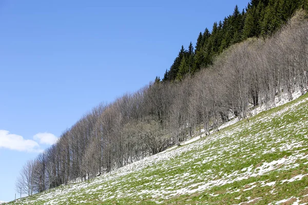 Verano Los Alpes Franceses — Foto de Stock