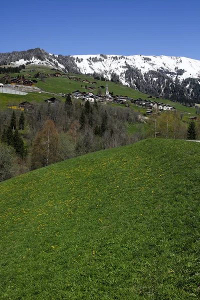 Zomer Franse Alpen — Stockfoto