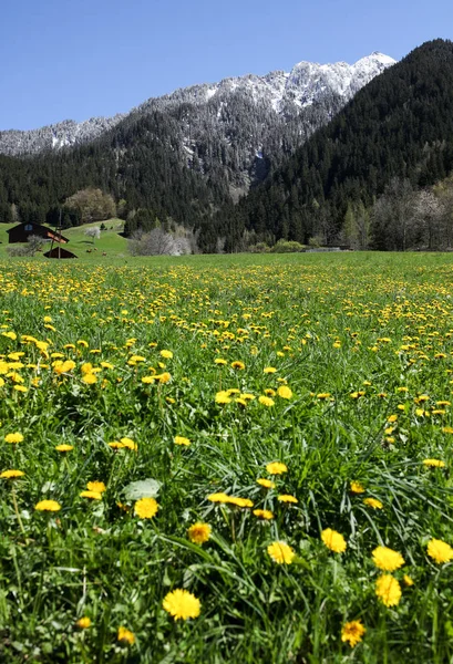 Verano Los Alpes Franceses — Foto de Stock