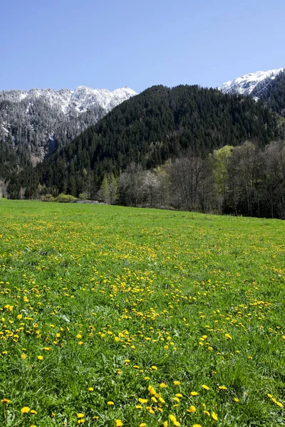 Verano Los Alpes Franceses — Foto de Stock