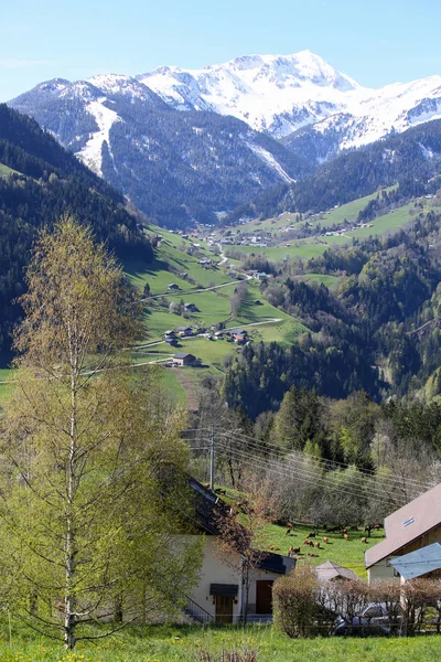 Zomer Franse Alpen — Stockfoto