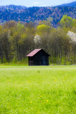 Fransız Alpleri'nde yaz
