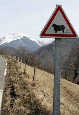 Fransız Alpleri'nde yaz