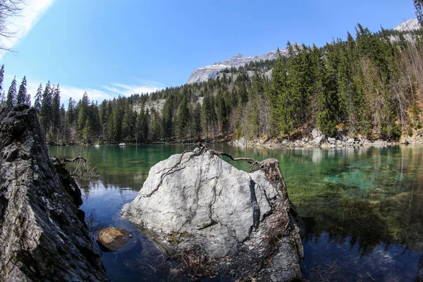 Lato Alpach Francuskich — Zdjęcie stockowe