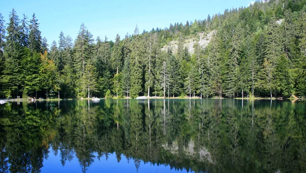 Lato Alpach Francuskich — Zdjęcie stockowe