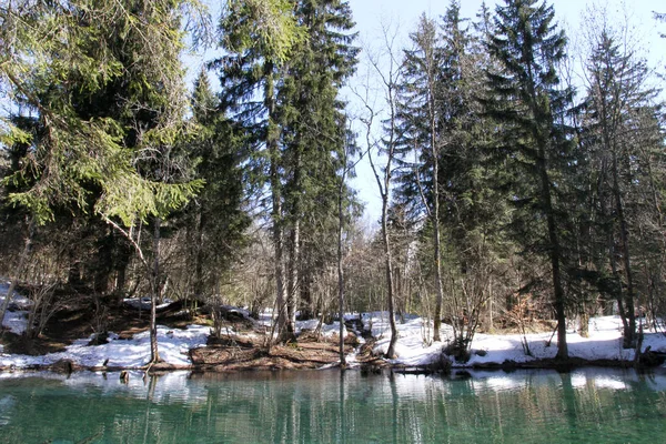 Sommer Den Französischen Alpen — Stockfoto