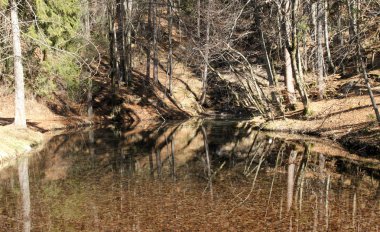 Fransız Alpleri'nde yaz