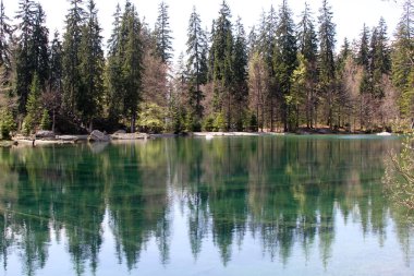 Fransız Alpleri'nde yaz