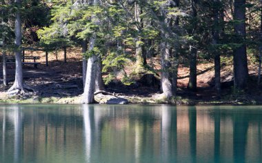 Fransız Alpleri'nde yaz