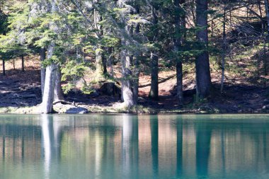 Fransız Alpleri'nde yaz