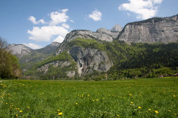Лето Французских Альпах — стоковое фото