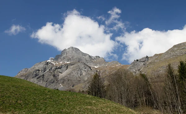 Лето Французских Альпах — стоковое фото