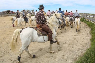Fransızca Camargue peyzaj