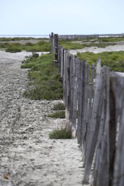 Fransızca Camargue peyzaj