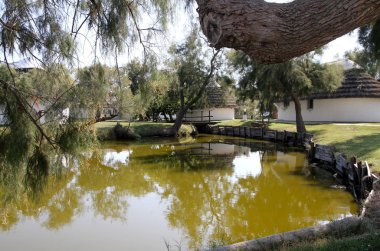 Fransızca Camargue peyzaj
