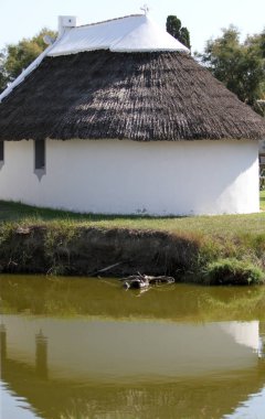 Fransızca Camargue peyzaj