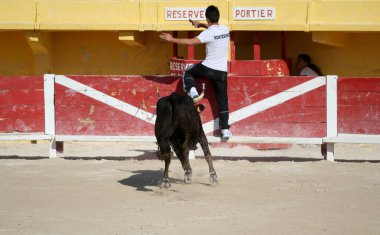 Fransızca Camargue peyzaj