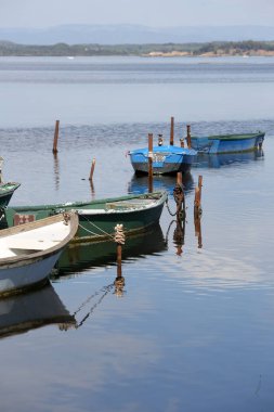 Fransızca Camargue peyzaj