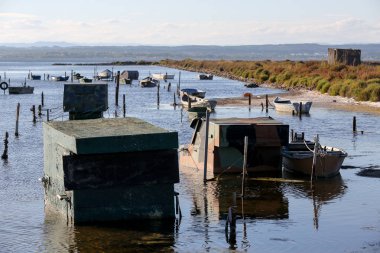 Fransızca Camargue peyzaj