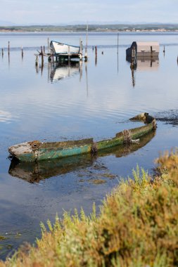 Fransızca Camargue peyzaj