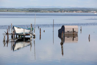 Fransızca Camargue peyzaj