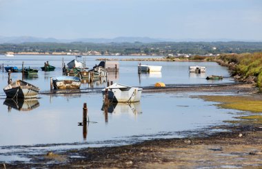 Fransızca Camargue peyzaj