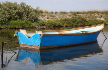 Fransızca Camargue peyzaj