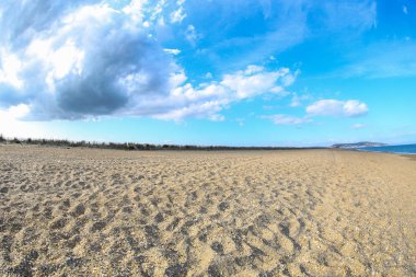 Fransızca Camargue peyzaj