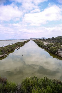 Fransızca Camargue peyzaj
