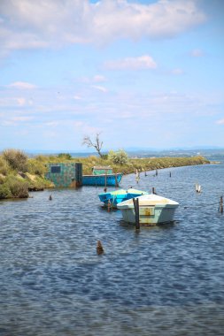 Fransızca Camargue peyzaj