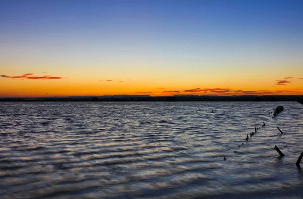 Fransızca Camargue Peyzaj — Stok fotoğraf