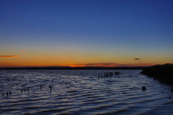 Fransızca Camargue Peyzaj — Stok fotoğraf