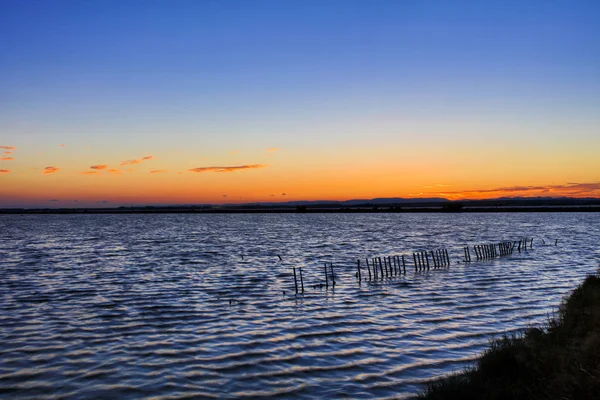 Táj Francia Camargue — Stock Fotó