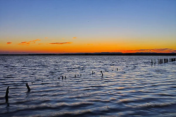 Paesaggio Della Camargue Francese — Foto Stock