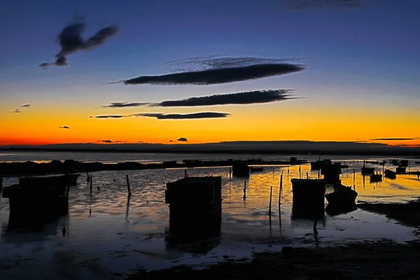 Landschap Van Franse Camargue — Stockfoto